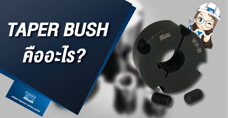 Taper Bush คืออะไร ?                